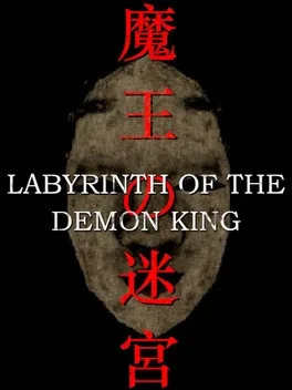 Labyrinth Of The Demon King Cover